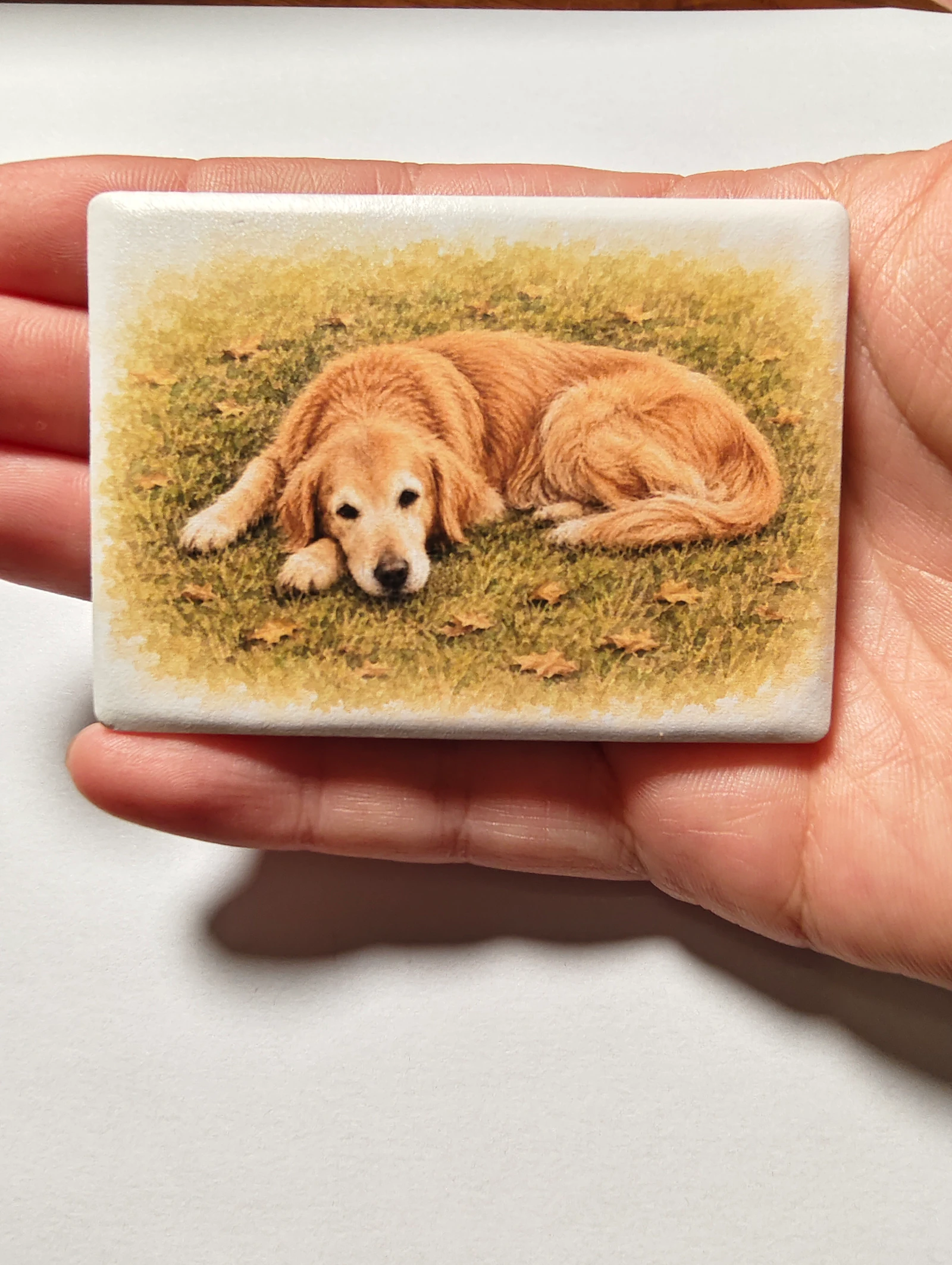 Close real photograph of the finished ceramic Qiqi magnet, including its printed texture.